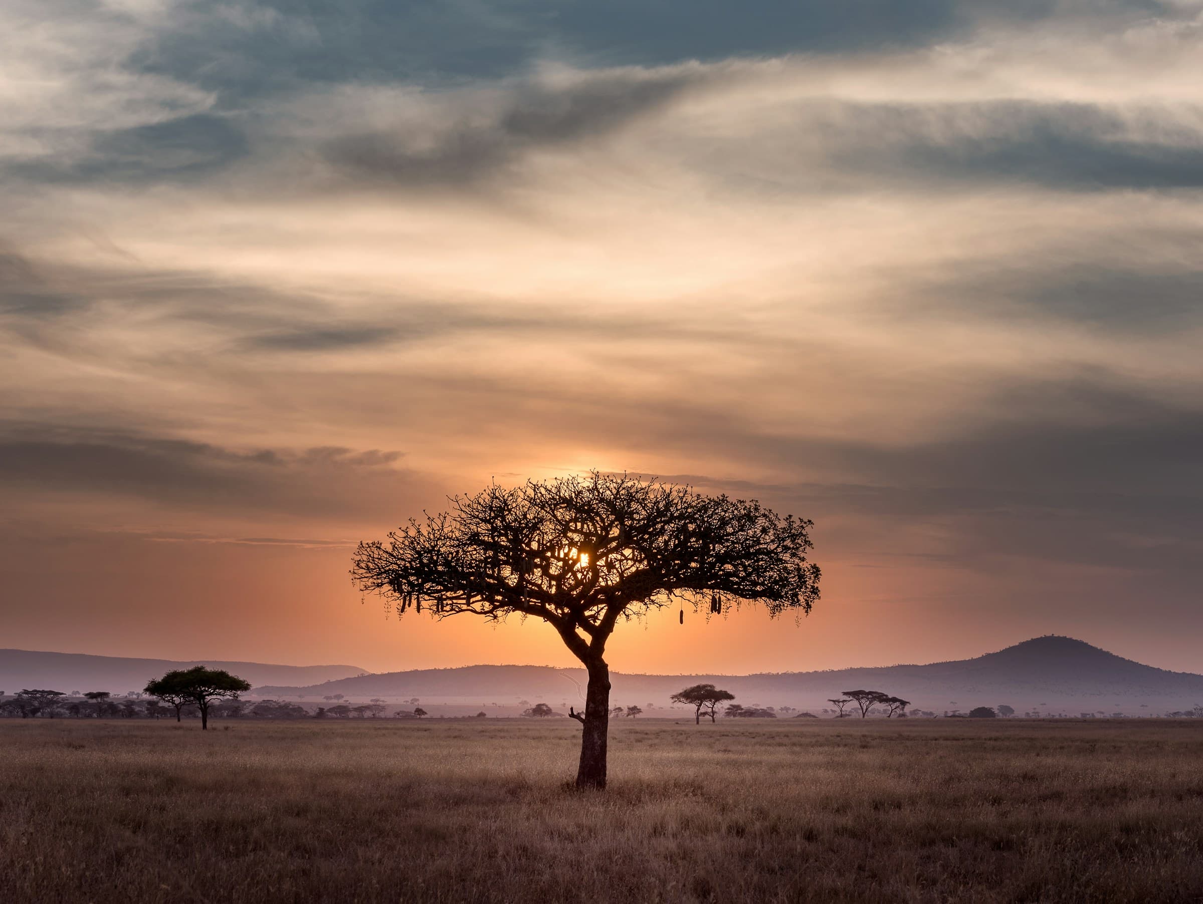 Safari vehicle crossing open savannah in Kenya